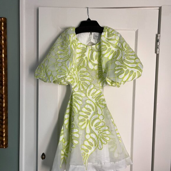 Sculptra Botanical Appliqué Dress, Size 10 - Picture 2 of 4